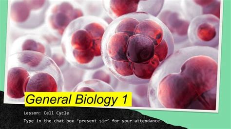 Cell Cyclepptx