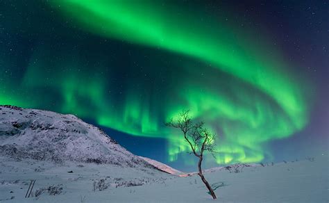 緑のオーロラ現象、 冬、 空、 星、 雪、 山、 夜、 ライト、 木、 Hdデスクトップの壁紙 Wallpaperbetter