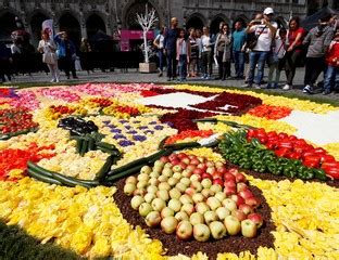 Bélgica celebra el verano con más de 100 000 flores en el corazón de