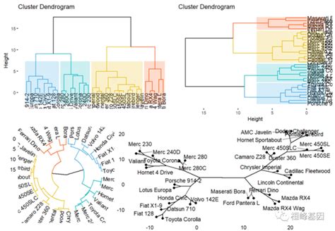 Figdraw 16 Sci 文章绘图之树形图 Dendrogram 知乎