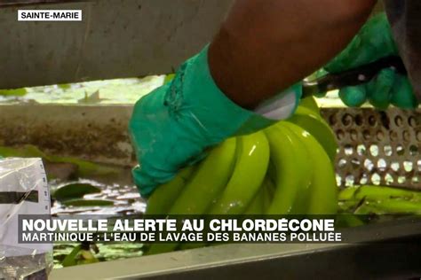 VIDEO Alerte chlordécone les ouvriers de la banane toujours exposés