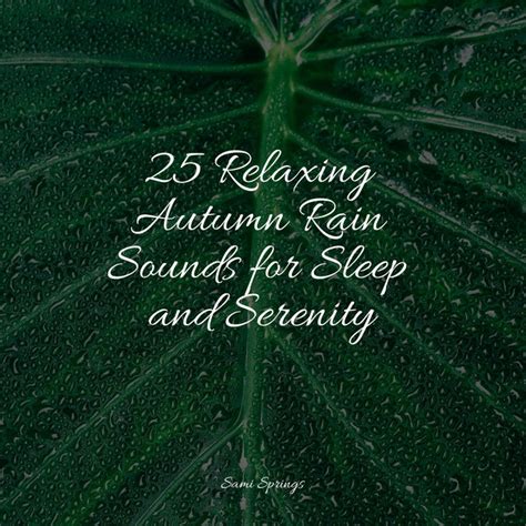 25 Relaxing Autumn Rain Sounds For Sleep And Serenity Album By Help