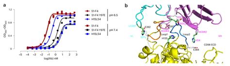 Nature Biomedical Engineering 隋建华实验室开发出具有肿瘤选择性的ph依赖性cd98抗体 清华大学生物医学交叉研究院