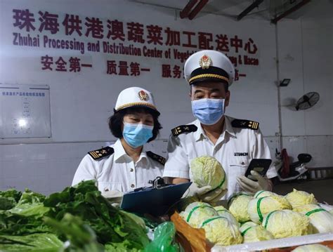 主题教育进行时丨供港新鲜蔬菜“即日达” 香洲海关保障五一节期鲜活产品高效通关