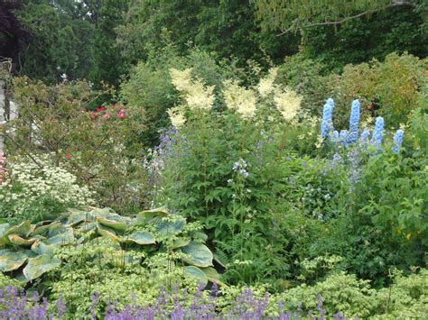 Comfrey The 'Miracle' Healing Herb/Why Was It Banned? | Natural Health