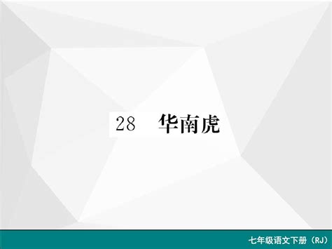 人教版七年级语文下册28 华南虎 作业课件word文档在线阅读与下载免费文档