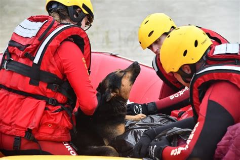 C O Esquenta Dono Resgatado Hipotermia Em Enchente Fotos