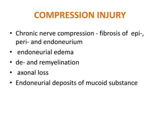 Nerve biopsy | PPT