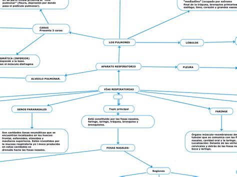 V As Respiratorias Mind Map