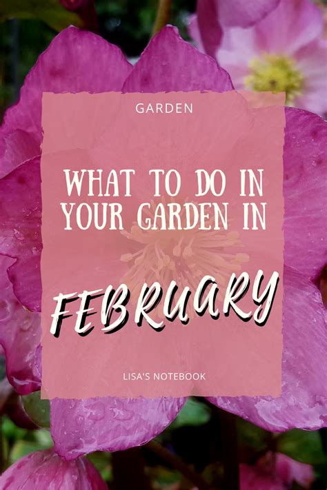 Wondering What To Do In The Garden In February Here Are Some February