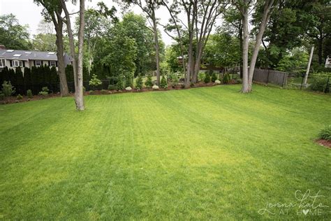 yard  spring large backyard landscaping inspiration