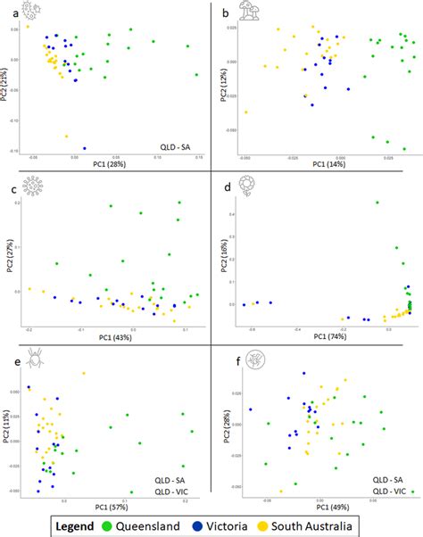 Principal Coordinate Analyses Pcoa Based On Bray Curtis Download