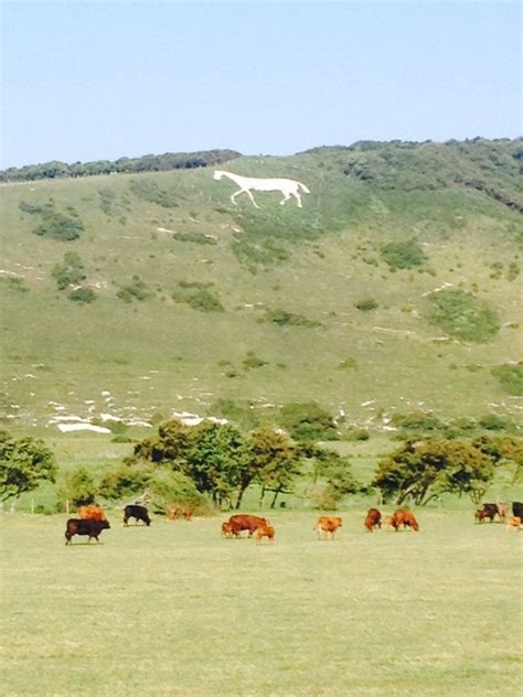 Litlington White Horse Places To See East Sussex Eastbourne