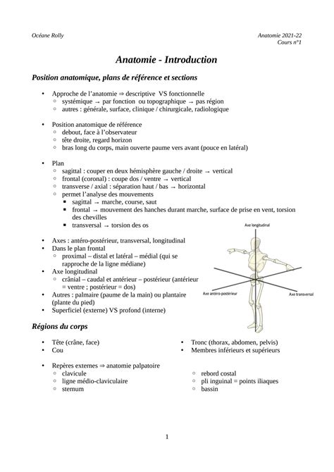 Solution Anatomie Intro Studypool