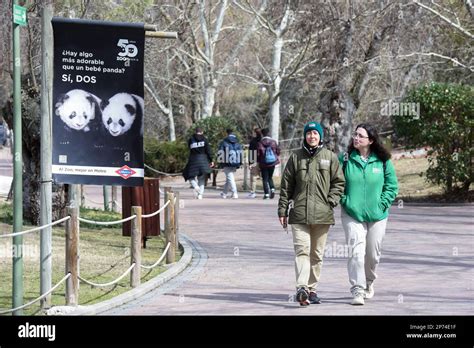 madrid march   xinhua visitors walk