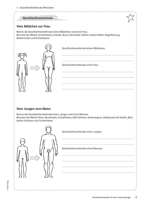 Sekundarstufe Unterrichtsmaterial Biologie Körper und Gesundheit