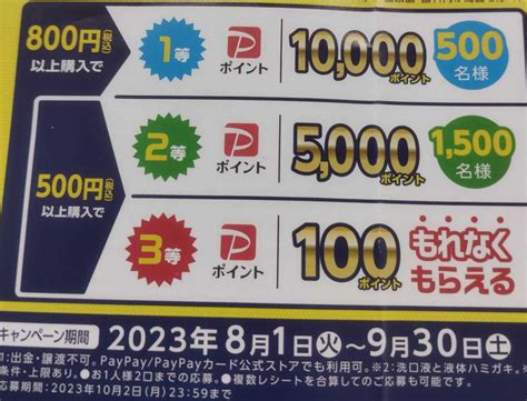 【未使用】懸賞応募★paypayポイント10000ポイントが500名様に当たる！もれなく100ポイントもらえる！ライオンキャンペーン！応募