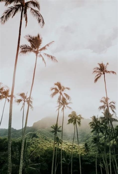 Hawaii Travel : Exploring the Islands’ Unique Attractions - The ...