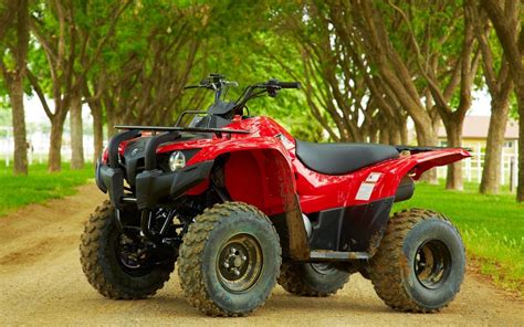 Yamaha Grizzly Automatic Gallery Top Speed