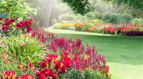 Fire Resistant Garden Design Tips