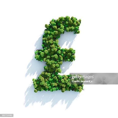 Pound Money Tree Photos And Premium High Res Pictures Getty Images