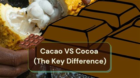 Cacao VS Cocoa - What's The Difference? And Why It Matters