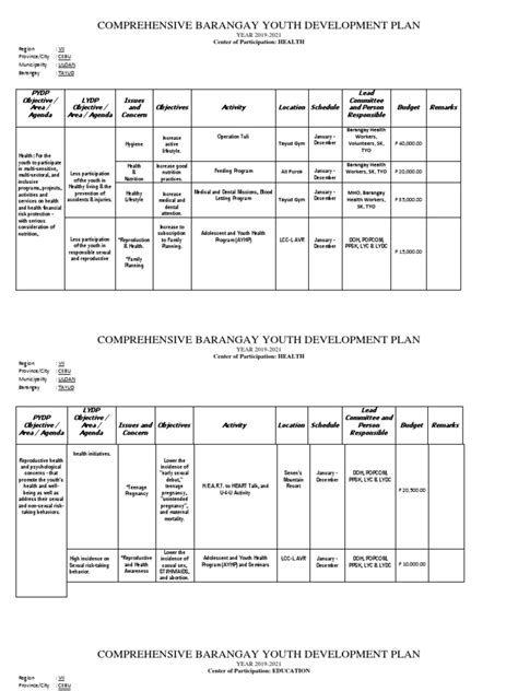 Comprehensive Barangay Youth Development Plan New Pdf Emergency