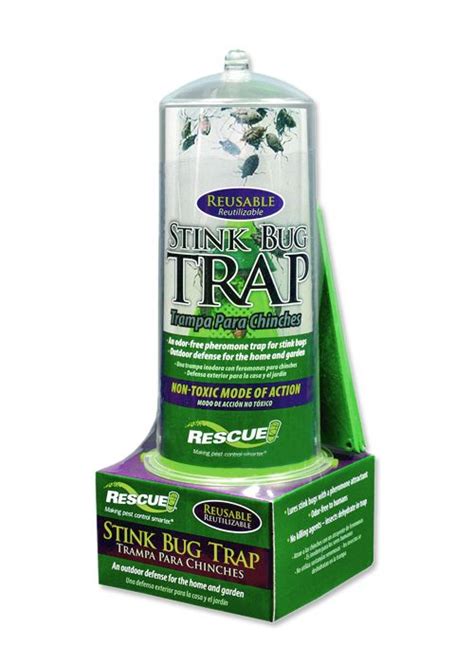 17 Best images about stink bug traps on Pinterest | Indoor, Bug insect and Homemade