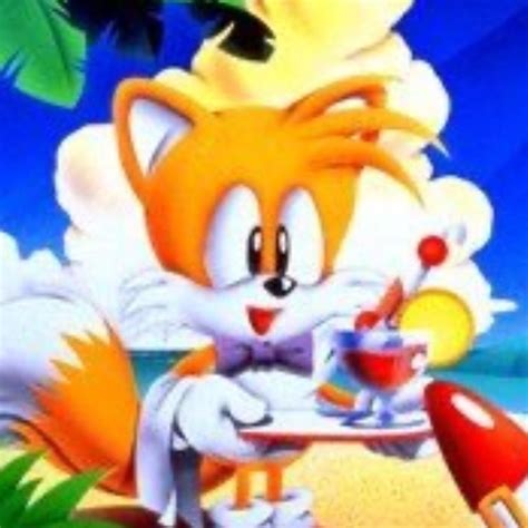 Tails And Sonic Matching Pfp Sonic Sonic Adventure Sonic Franchise