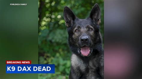 Dax News Lake County Sheriffs Office K9 Whose Handler Was Deputy