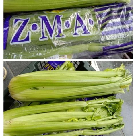 Jual CELERY STICK IMPORT 10KG SELEDRI IMPOR CHINA Jakarta Pusat