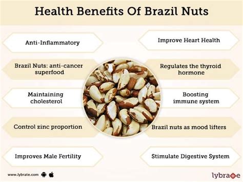 What Vitamins Are In Brazil Nuts