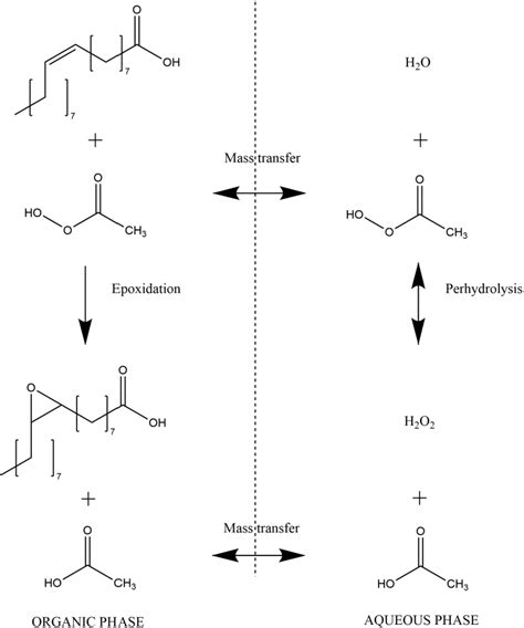 Lipase Catalyzed Chemo Enzymatic Epoxidation Of Fatty Acids Using