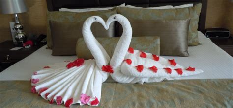 The Ultimate Towel Folding Guide – TFE Times