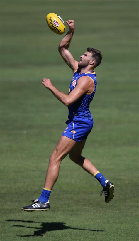 Eagles premiership pair Will Schofield and Jamie Cripps return, Keegan ...