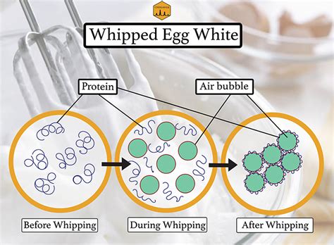 What Is The Science Behind Formation Of Egg White Foam Chimiaweb