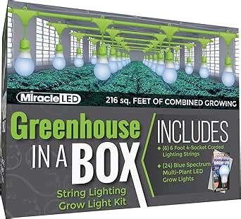 Miracle LED Kit De Cultivo De Invernadero En Una Caja Para Plantas De