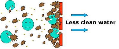 MembraneTechnology: Membrane Bioreactor