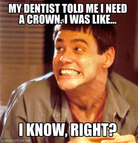 Career memes of the week: dentist - Careers | siliconrepublic.com - Ireland's Technology News ...