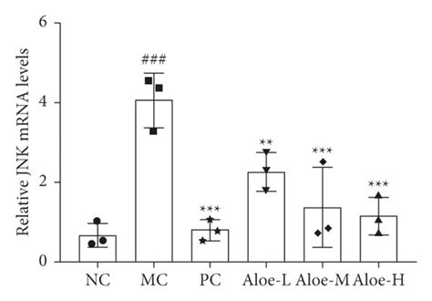 Relative Mrna Expression Of A Akt B Erk C Nf κb P65 And D