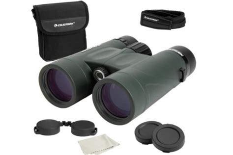 Best Binoculars for Bird Watching - Chipper Birds