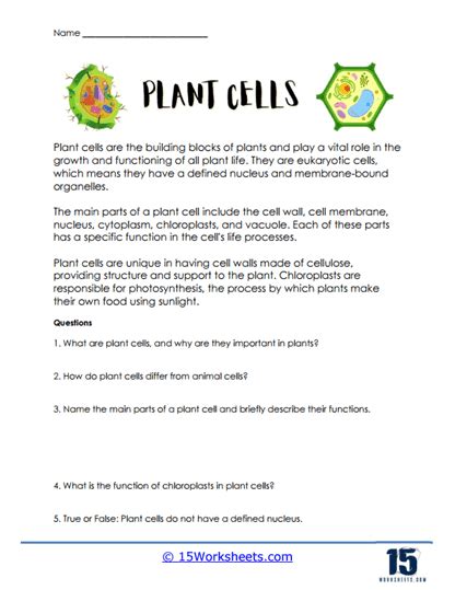 Plant Cells Worksheets - Worksheets Library