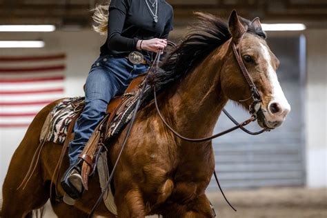 BraveHearts | The Largest Healing Horsemanship Program in the Nation