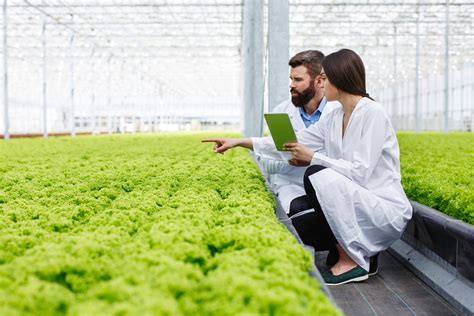 Conoce El Rol Del Ingeniero Agr Nomo Agroingenia Canarias