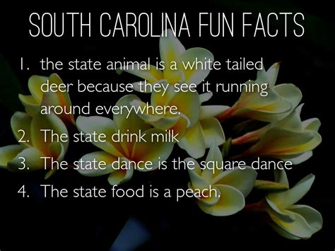 43 Fun Facts About South Carolina Best Place To Learning