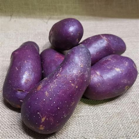 Royal Blue Potato The Fresh Direct