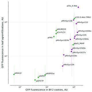 PDF Systematic Comparison Of Plant Promoters In Nicotiana Spp