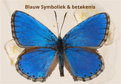 Kleur Blauw Symboliek En Betekenis Spiritstyle