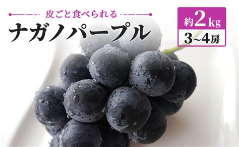 【楽天市場】【ふるさと納税】ナガノパープル 約2kg 3～4房 皮ごと食べられる ぶどう 長野 坂城町産 ブドウ フルーツ 果物 果物類 お