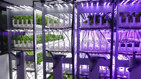 Vertical farming systems | Bruynzeel